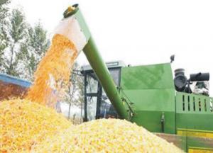 玉米籽粒收貨割臺